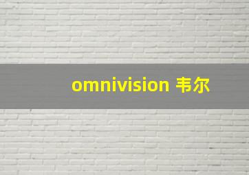 omnivision 韦尔